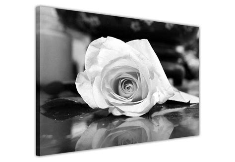 Black And White Rose On Framed Canvas Wall Art Prints