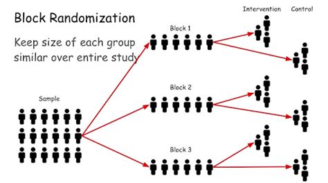 Randomization In Clinical Trials Everything You Need To Know