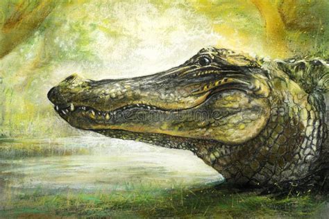 Alligator Art In Pastel Stock Illustration Illustration Of Drawing