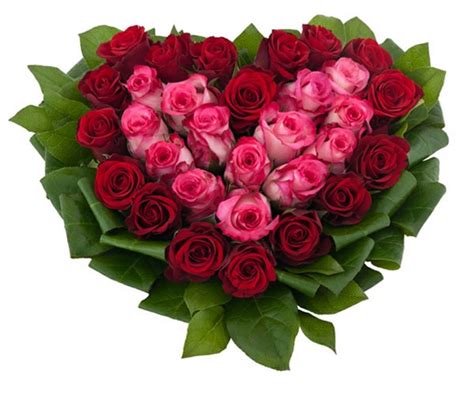 Il mazzo di rose rosse è uno dei bouquet floreali più apprezzati dagli innamorati. eFiorista online in Italia ti aiuta a Regalare e ...
