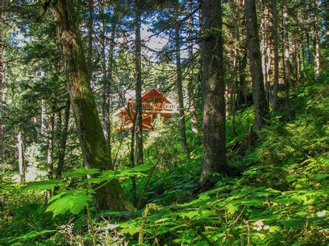 Maybe you would like to learn more about one of these? Virgin Creek Lodge - Girdwood, Alaska Has Terrace and Wi ...