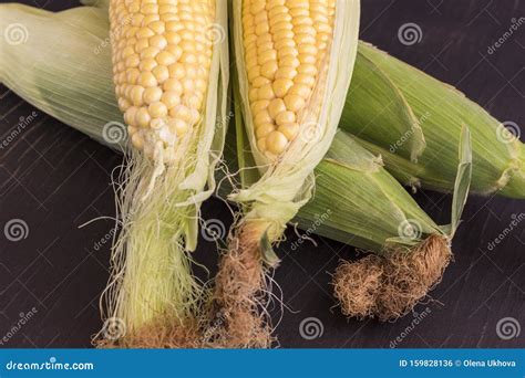 Peeled Leaves Of Maize Zea Mays Plants Harvested And Being Stored