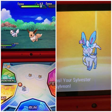 You can find eevee along route 4 at any time of day. 7 My first shiny Eevee! Decide to evolve him into ...