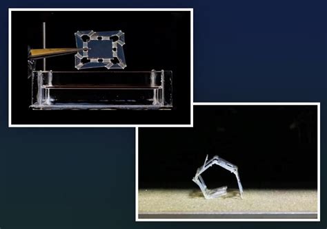 Self Folding Robot Inspired By Origami Changes Shape With Temp