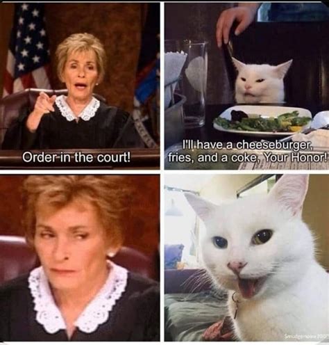 Bro Meme Funny Cat Said The Funny I Laugh Rcomedycemetery