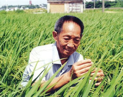 Search for text in self post contents. 袁隆平该不该放下杂交水稻_评论频道_腾讯网