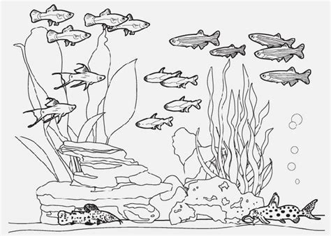 Fish tank coloring pages | Free Coloring Pages and Coloring Books for Kids