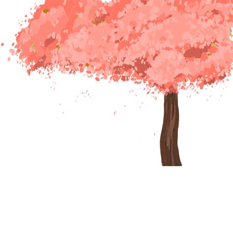 Cherry Tree Png Transparent Cherry Tree Cherry Blossoms Cherry