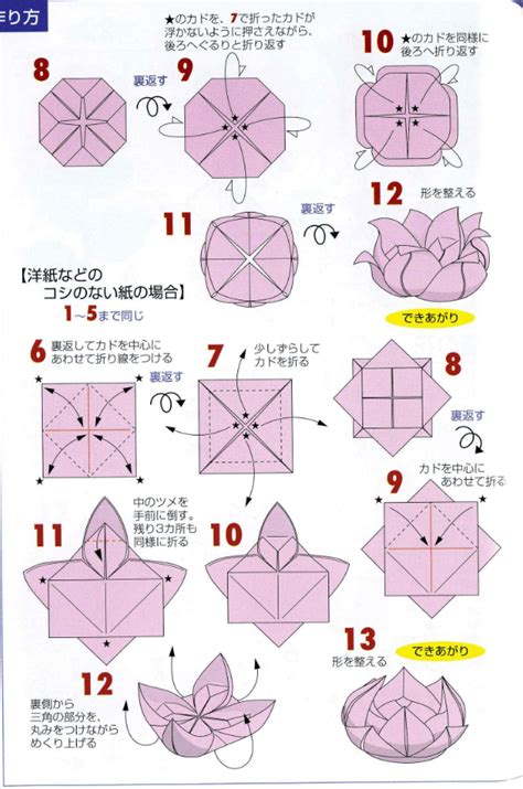 Instructions Beginner Diy Origami Lotus Flower Glorietalabel
