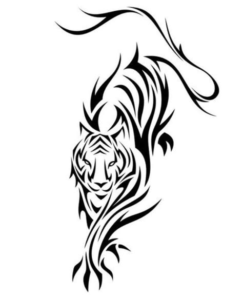 Best Tribal Tiger Tattoo Designs And Ideas Petpress