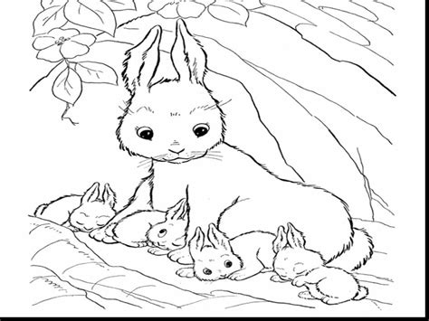 Bunny Rabbit Coloring Pages Neo Coloring