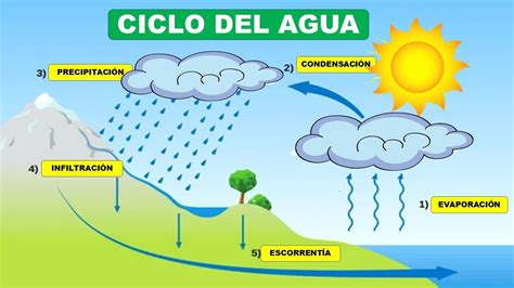 CICLO HIDROLÓGICO DEL AGUA Evaporación Condensación precipitación Infiltración y