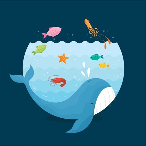 Día Mundial Del Océano Sscc Providencia