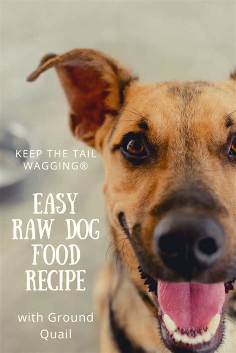 Wholesome ingredients raw food recipes food raw dog food recipes raw cat food recipes real ingredients recipes freeze drying food food animals. Easy Raw Dog Food Recipe with Ground Quail | Keep the Tail ...