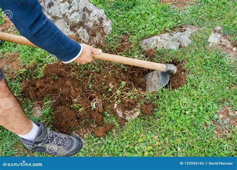 Close Up Of A Man Digging With A Hoe Stock Photo Image Of Natural