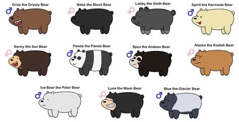 Sloth Bear Panda Bear Polar Bear Kodiak Bear Grizzly Bear Kermode Bear Black Beats Moon