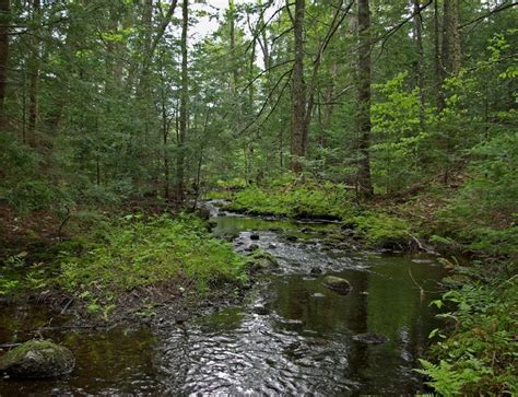 Hiking In Maine With Kelley 51410 Sheepscot Headwaters Trails