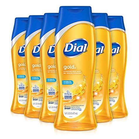 Dial Body Wash Gold 16 Ounce Pack Of 6