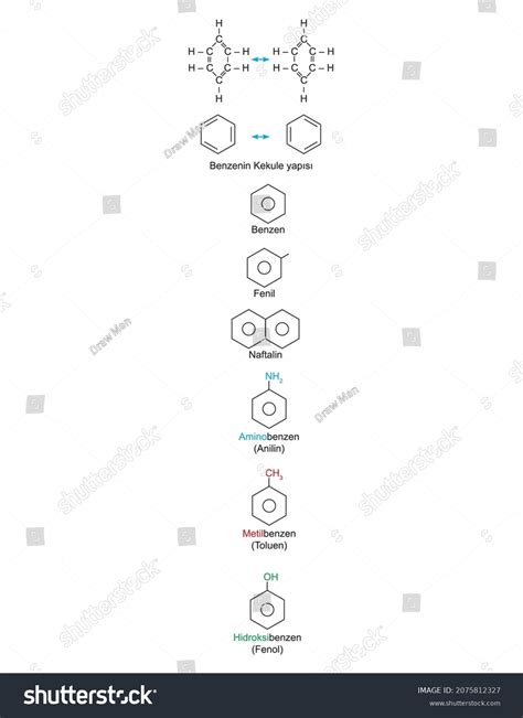 Functional Groups Vector Illustration Chemical Royalty Free Stock