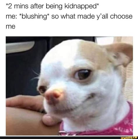 26 Memes That Capture What It Means To Be A Pick Me Girl Cheezcake