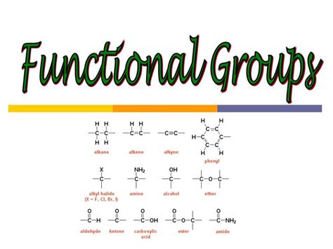 Functional groups are atoms or small groups of atoms (two to four) that exhibit a characteristic reactivity. PPT - Functional Groups PowerPoint Presentation, free ...
