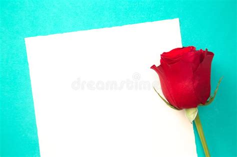 Sola Rose Con Una Página En Blanco Para Escribir Una Nota Del Amor Foto