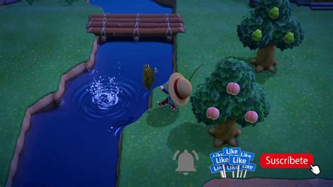 Dorado Fish Animal Crossing Animal Crossing New Leaffish â