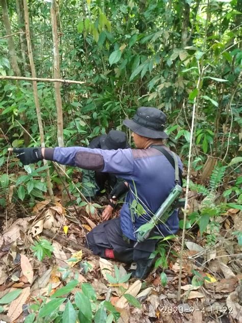 Ppid Kementrian Lingkungan Hidup Dan Kehutanan Amankan Tn Bukit