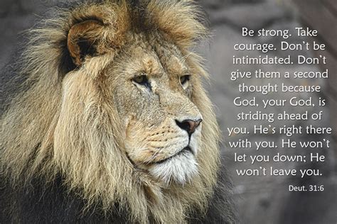 Pin By Tara Kenyon Phd On Scripture Picture Quotes Gods Strength