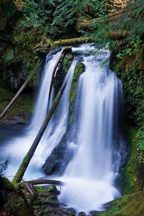 Panther Creek Falls Washington With Images Waterfall Natural