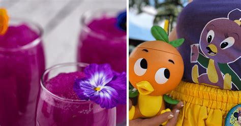 Bring Epcots Flower And Garden Festival Home With This Easy Violet Lemonade Recipe Inside The