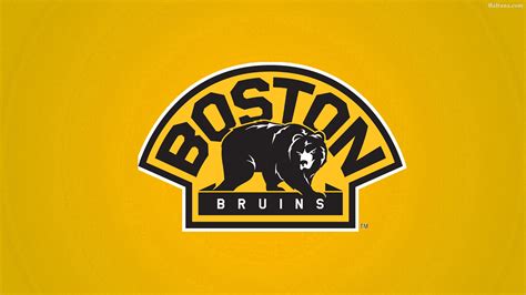 Boston Bruins Wallpaper Boston Bruins 1920x1080 Wallpaper