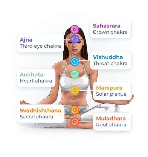 Chakra For Beginners Laws Of Karma Spirit Meaning Chakra Health
