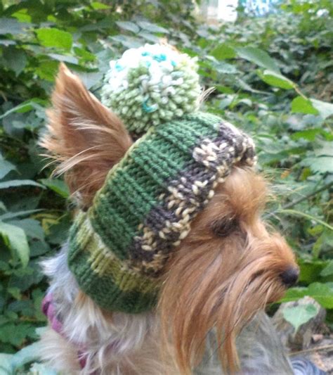 Medium Hat Dog Small Dog Hat Knitted Dog Hat Warm Dog Hat Dog Etsy