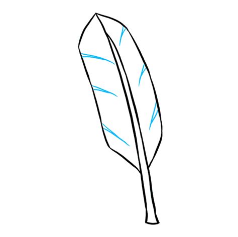 How To Draw A Feather Really Easy Drawing Tutorial