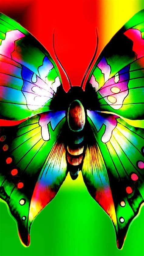 Colorful Butterfly Desktop Backgrounds