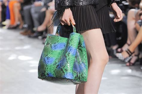 Christian Dior Spring 2014 Best Bags At Paris Fashion Week Spring