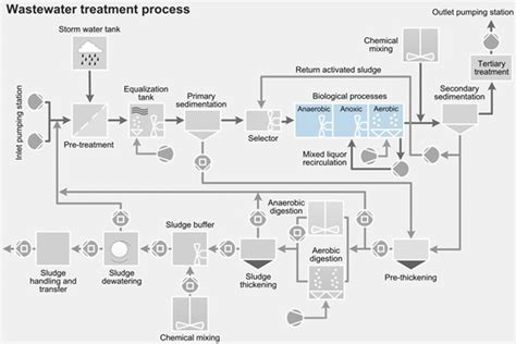 Biological Process Sulzer