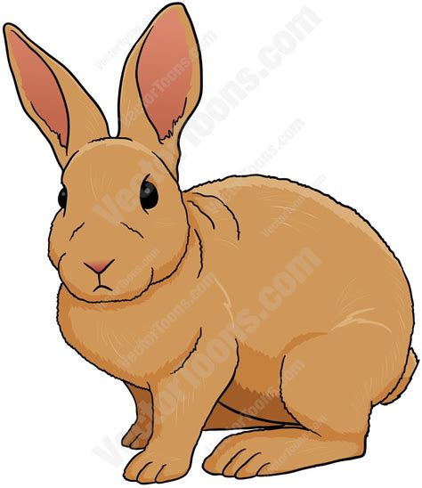 Brown Rabbit Looking Straight Ahead Cartoon Clip Art