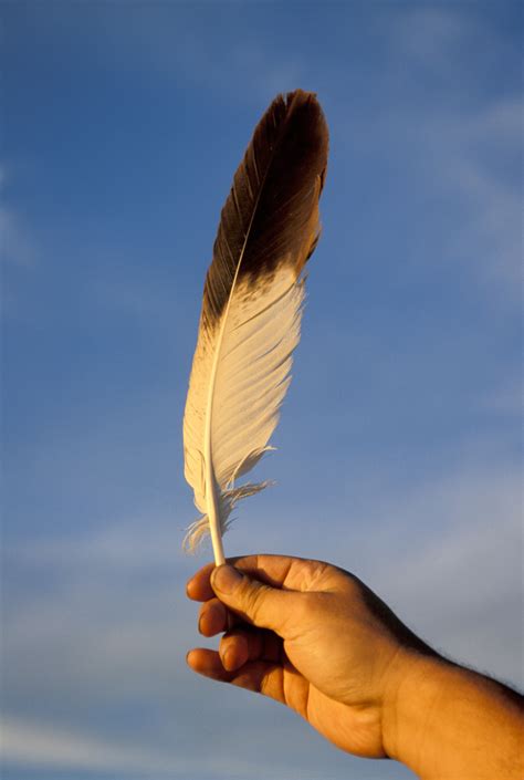 The Eagle Feather Sunday June 19 1030 Am St Andrews