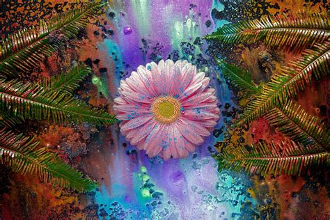 ^ cosmic peace | Brad Oliphant Fine Art Photographer - Floral Photographer - Nature Photographer