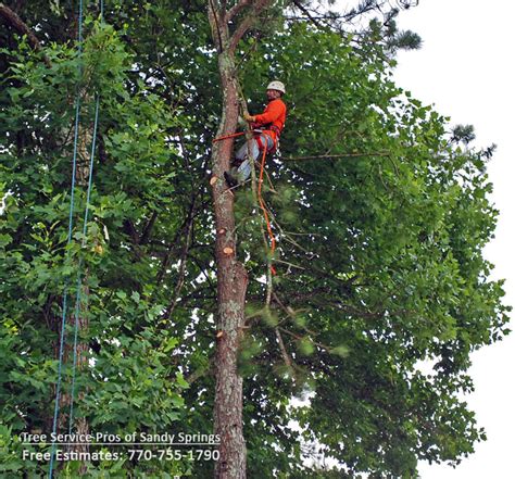 Top rated tree service in atlanta, alpharetta, cumming, johns creek, roswell, milton, canton, & duluth. Tree Service Cumming GA | Removal | Trimming | Pruning