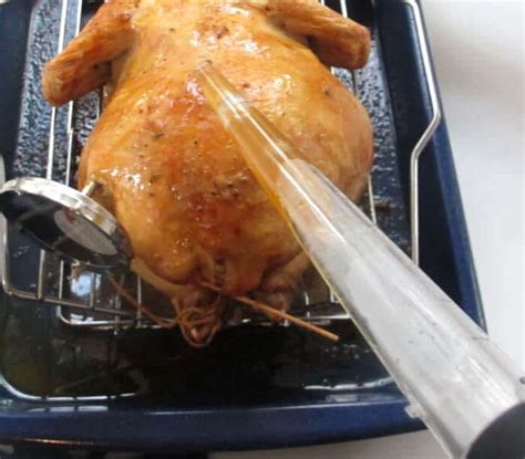 How To Roast A Turkey In 10 Easy Steps And A Giveaway Mother Would Know