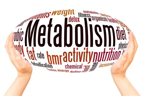 Your food choices must be high in. Diet Mistakes that Slow Your Metabolism - EasyBlog