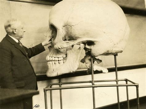 Body of Knowledge: A History of Anatomy - RobotSpaceBrain