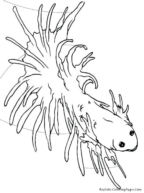 You could also print the picture using the print button above the image. Realistic Fish Coloring Pages at GetColorings.com | Free ...