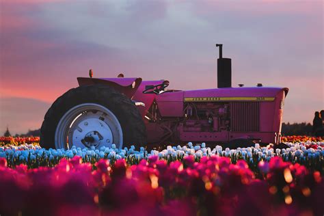John Deere Tractor In Flower Farm 4k Wallpaperhd Photography