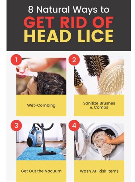 8 Ways To Naturally Get Rid Of Lice Head Louse Louse Nature