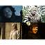 Game Of Thrones Season 6  GOT Characters Theories Battles
