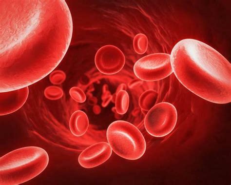 Effective Tablets To Raise Hemoglobin
